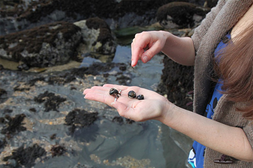 070414 Ερημίτης